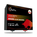 BATTERIA LITIO 300Ah 12,8V LiFePO4 BLUETOOTH-BMS-OLALITIO
