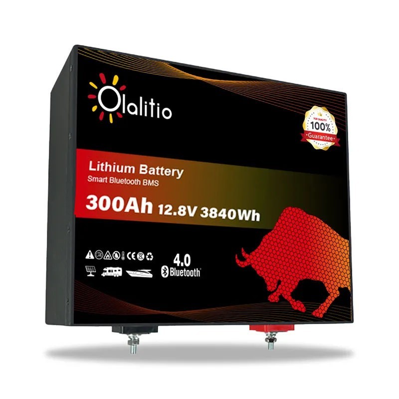 BATTERIA LITIO 300Ah 12,8V LiFePO4 BLUETOOTH-BMS-OLALITIO